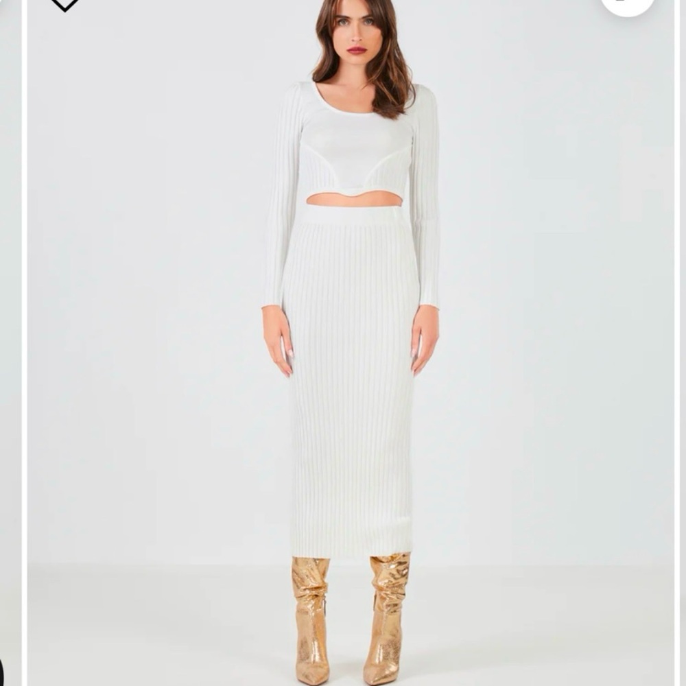 NWT BCBG Gardenia skirt set small
